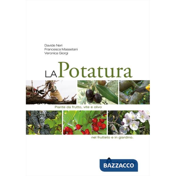 Potatura. Piante da frutto, vite e olivo. Nel frutteto e in giardino (La)