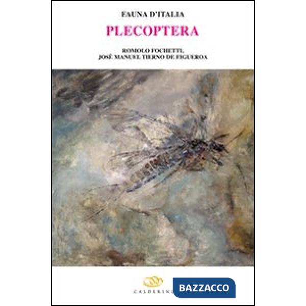 Plecoptera. Ediz. illustrata