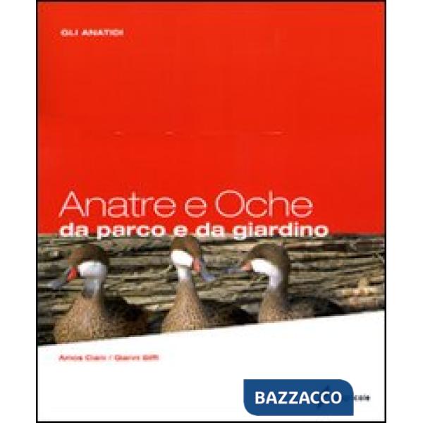 Anatre e oche da parco e da giardino. Gli anatidi. Ediz. illustrata