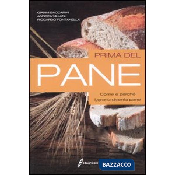 Prima del pane. Come e perché il grano diventa pane