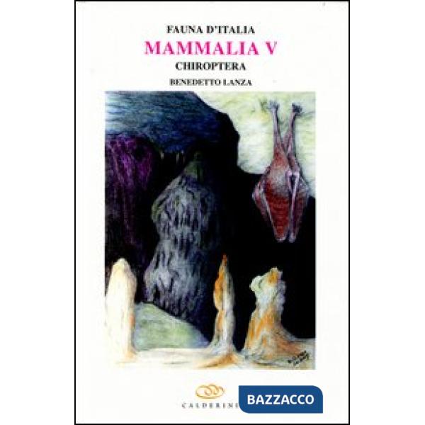 Mammalia V. Chiroptera