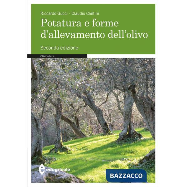 Potatura e forme di allevamento dell'olivo