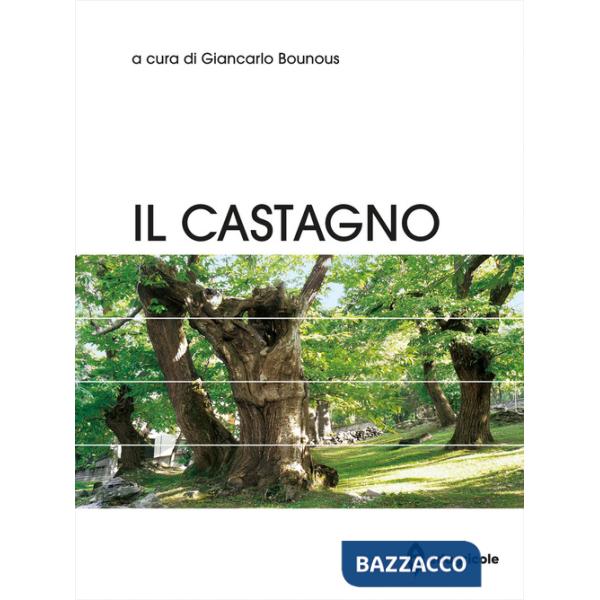 Castagno (Il)