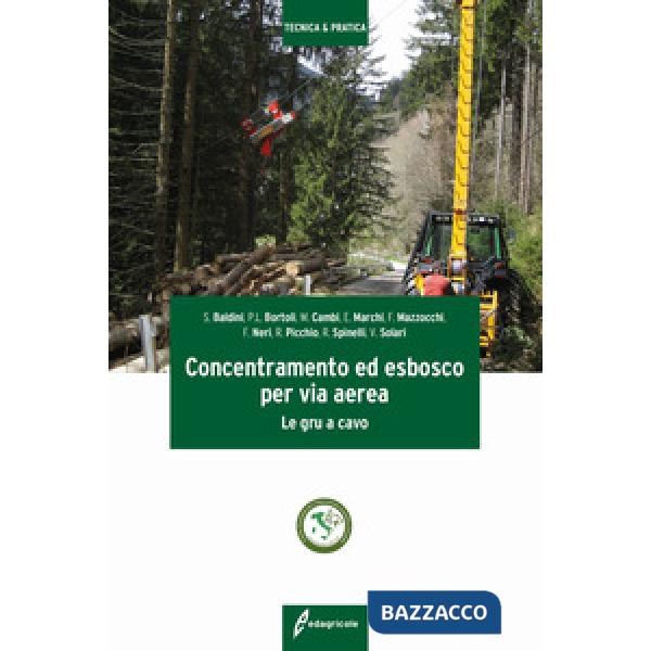 Concentramento ed esbosco per via aerea. Le gru a cavo