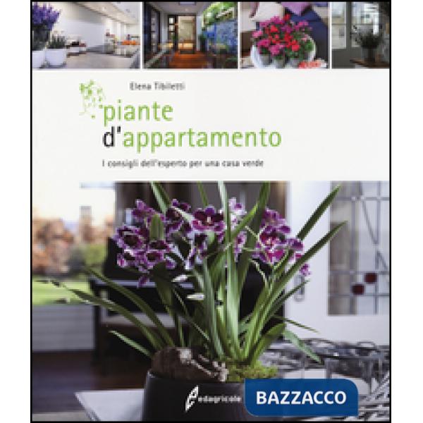 Piante d'appartamento. I consigli dell'esperto per una casa verde