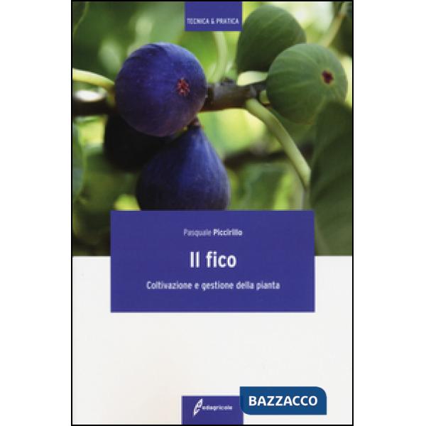 Fico. Coltivazione e gestione della pianta (Il)