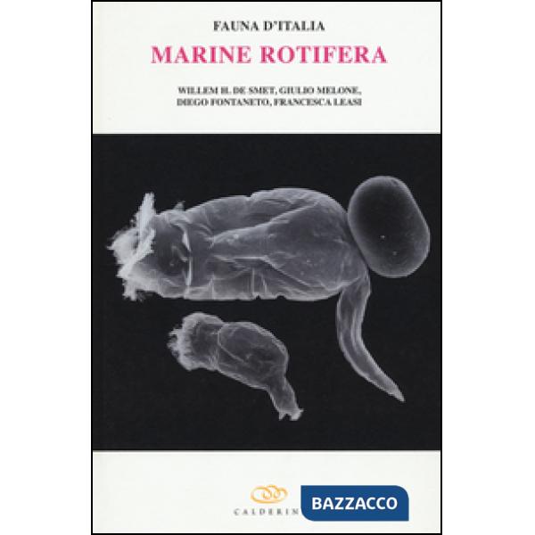Marine rotifera. Ediz. inglese