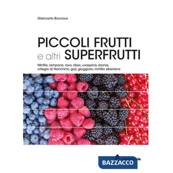 Piccoli frutti e altri superfrutti. Mirtillo, lampone, rovo, ribes, uvaspina, aronia, ciliegio di Nanchino, goji, giuggiolo, mir