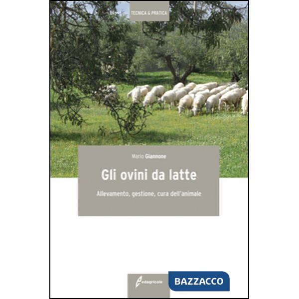 Ovini da latte. Allevamento, gestione, cura dell'animale (Gli)