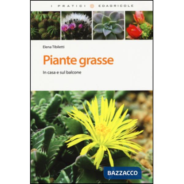 Piante grasse. In casa e sul balcone. Ediz. illustrata