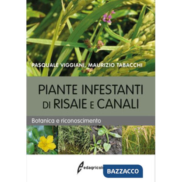 Piante infestanti di risaie e canali. Botanica e riconoscimento