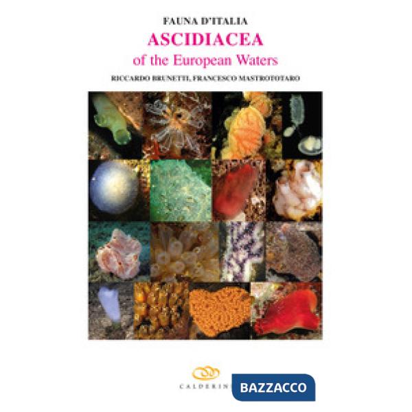 Ascidiacea of the European waters. Ediz. illustrata