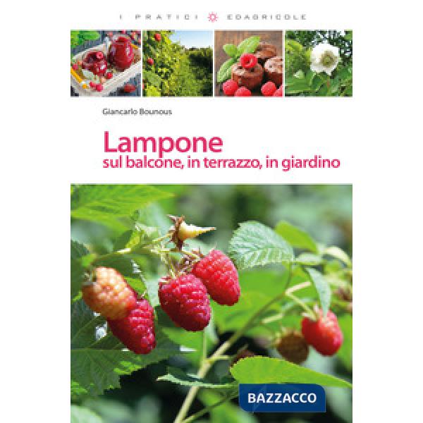 Lampone sul balcone, in terrazzo, in giardino