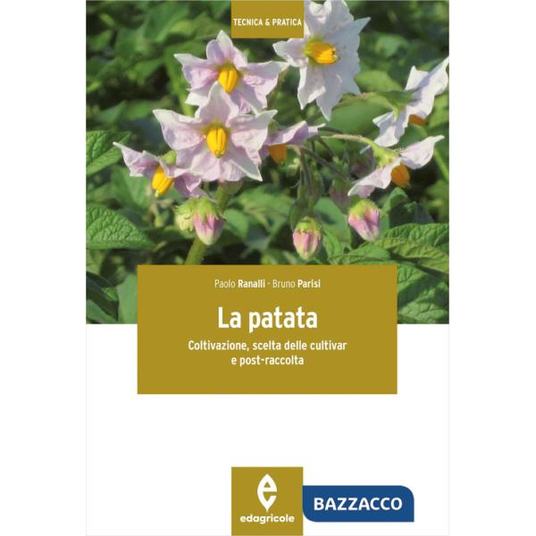 Patata. Coltivazione, scelta delle cultivar e post-raccolta (La)