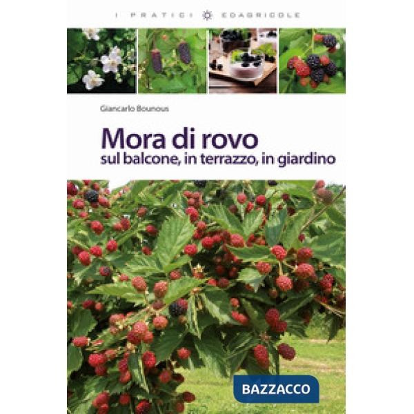 Mora di rovo sul balcone, in terrazzo, in giardino