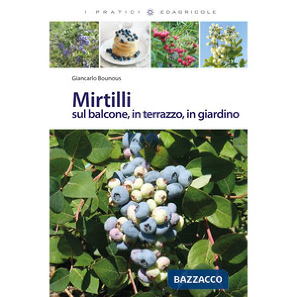 Mirtilli sul balcone, in terrazzo, in giardino