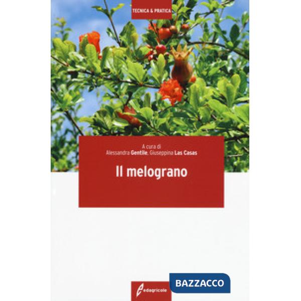 Melograno (Il)