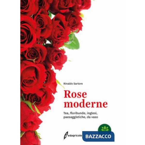 Rose moderne. Tea, floribunde, inglesi, paesaggistiche, da vaso