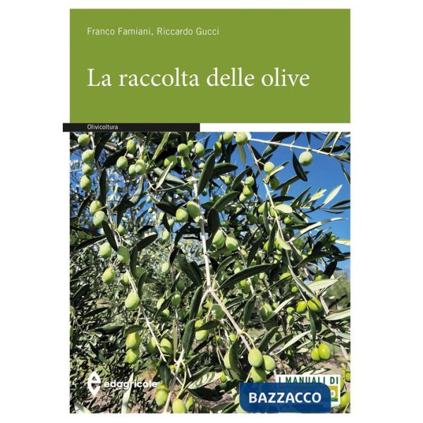 Raccolta delle olive (La)