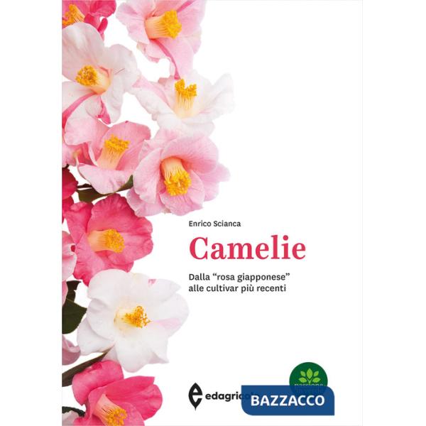 Camelie. Dalla «rosa giapponese» alle cultivar più recenti. Ediz. a colori