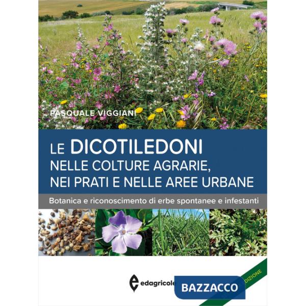 Dicotiledoni nelle colture agrarie, nei prati e nelle aree urbane. Botanica e riconoscimento di erbe spontanee e infestanti (Le)