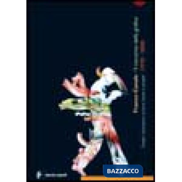 Franco Canale. Il racconto della grafica