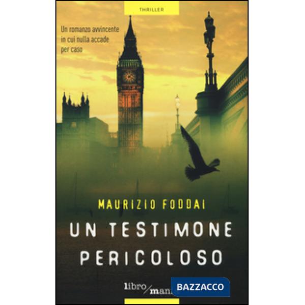 Testimone pericoloso (Un)