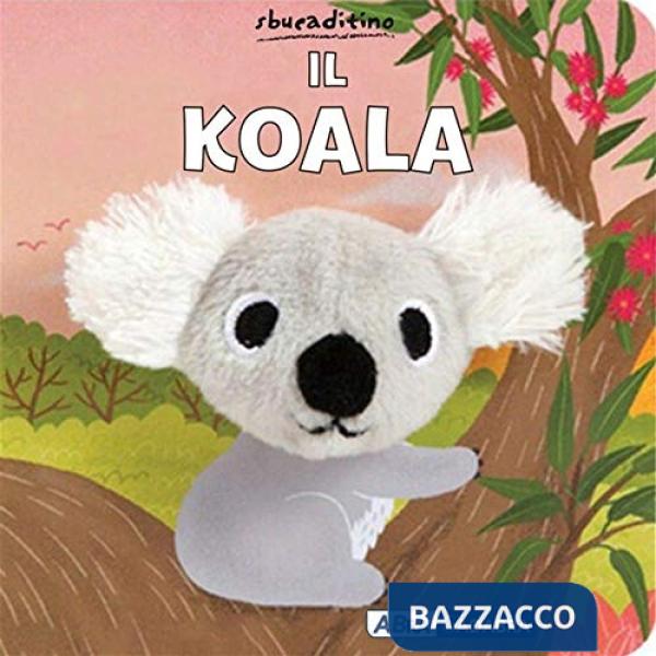 Koala (Il)