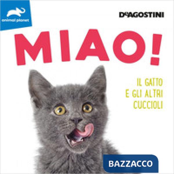 Miao! Il gatto e gli altri cuccioli. Ediz. a colori