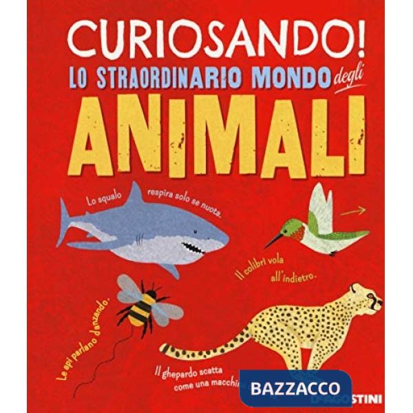 Curiosando! Lo straordinario mondo degli animali