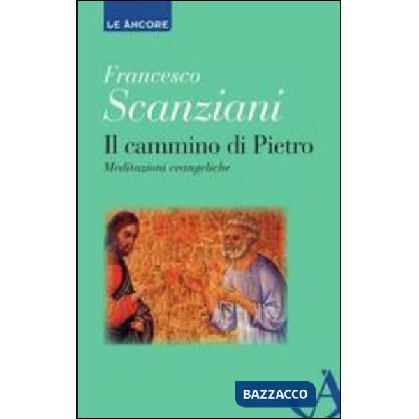 Cammino di Pietro. Meditazioni evangeliche (Il)