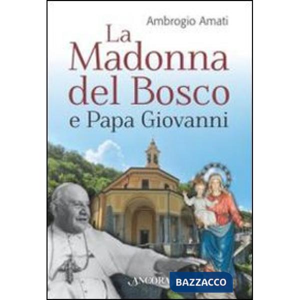 Madonna del bosco e papa Giovanni (La)