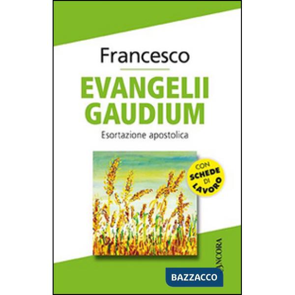 Evangelii gaudium. Esortazione apostolica