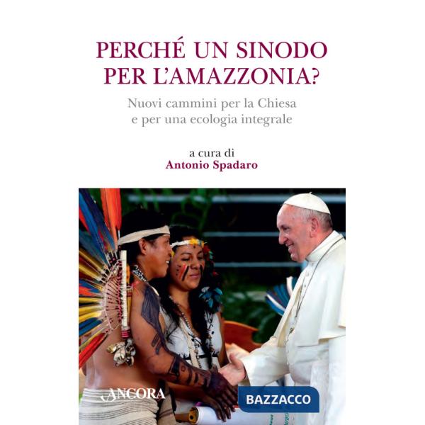 Perché un sinodo per l'Amazzonia? Nuovi cammini per la Chiesa e per una ecologia integrale