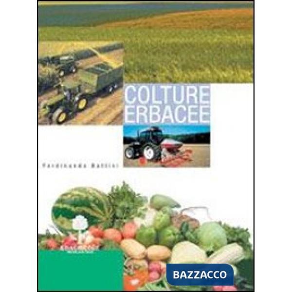 COLTURE ERBACEE-SI VENDE 5290174