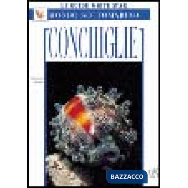 Conchiglie. Ediz. illustrata