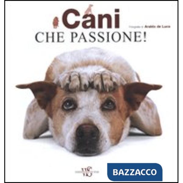 Cani che passione!