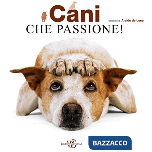 Cani che passione