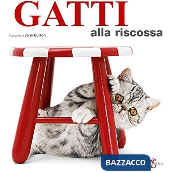 Gatti alla riscossa