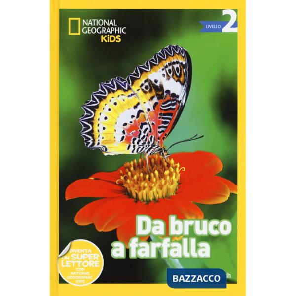 Da bruco a farfalla. Livello 2. Ediz. a colori
