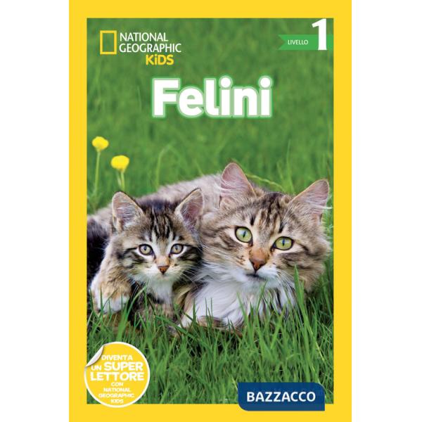 Felini. Livello 1. Ediz. a colori
