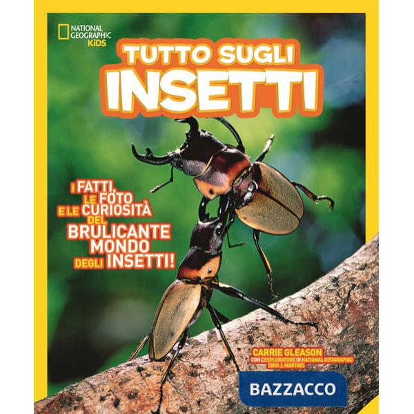 Tutto sugli insetti