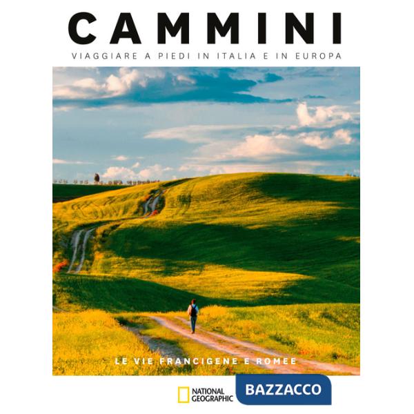 Vie francigene e romee. Cammini, viaggiare a piedi in Italia e in Europa (Le)