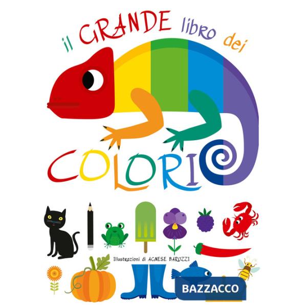 Grande libro dei colori. Ediz. a colori (Il)