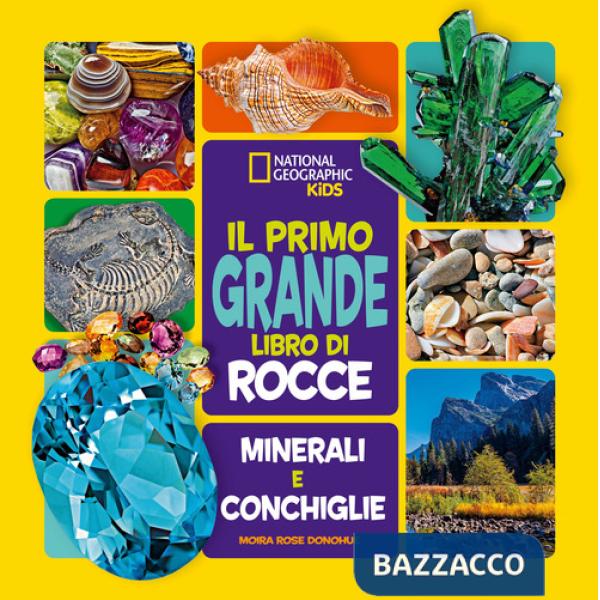 Primo grande libro di rocce, minerali e conchiglie. Ediz. a colori (Il)