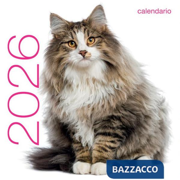 Gatti. Calendario da muro 2026