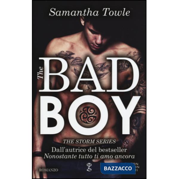 Bad boy. The Storm series (The)