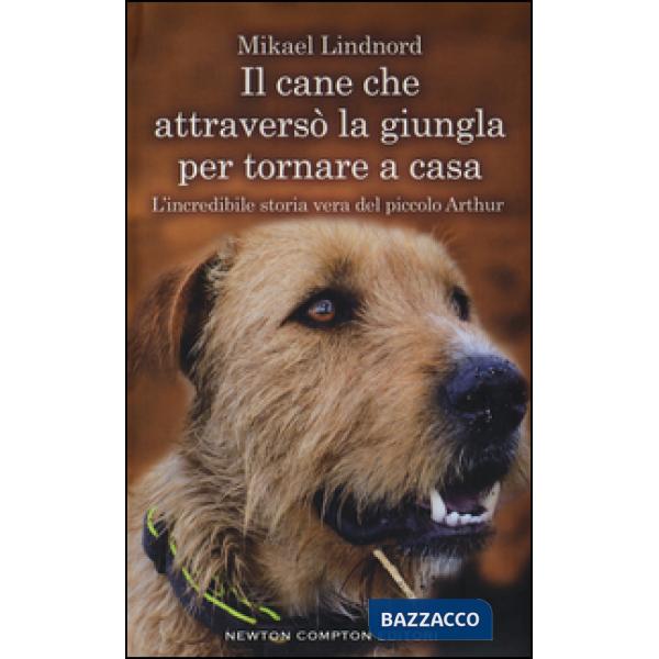 Cane che attraversò la giungla per tornare a casa. L'incredibile storia vera del piccolo Arthur (Il)