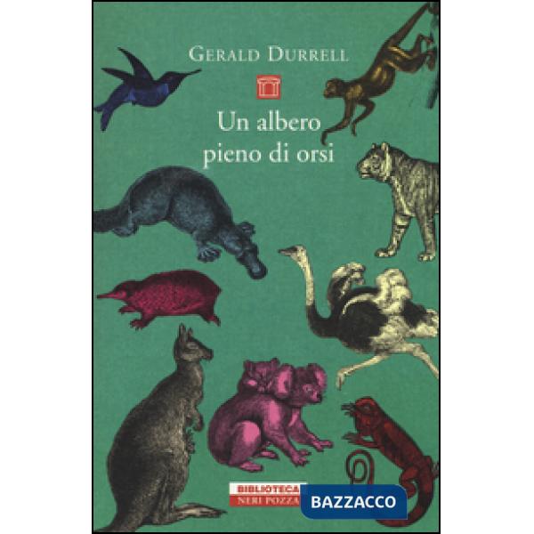 Albero pieno di orsi (Un)