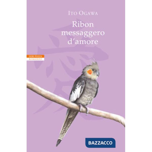 Ribon messaggero d'amore